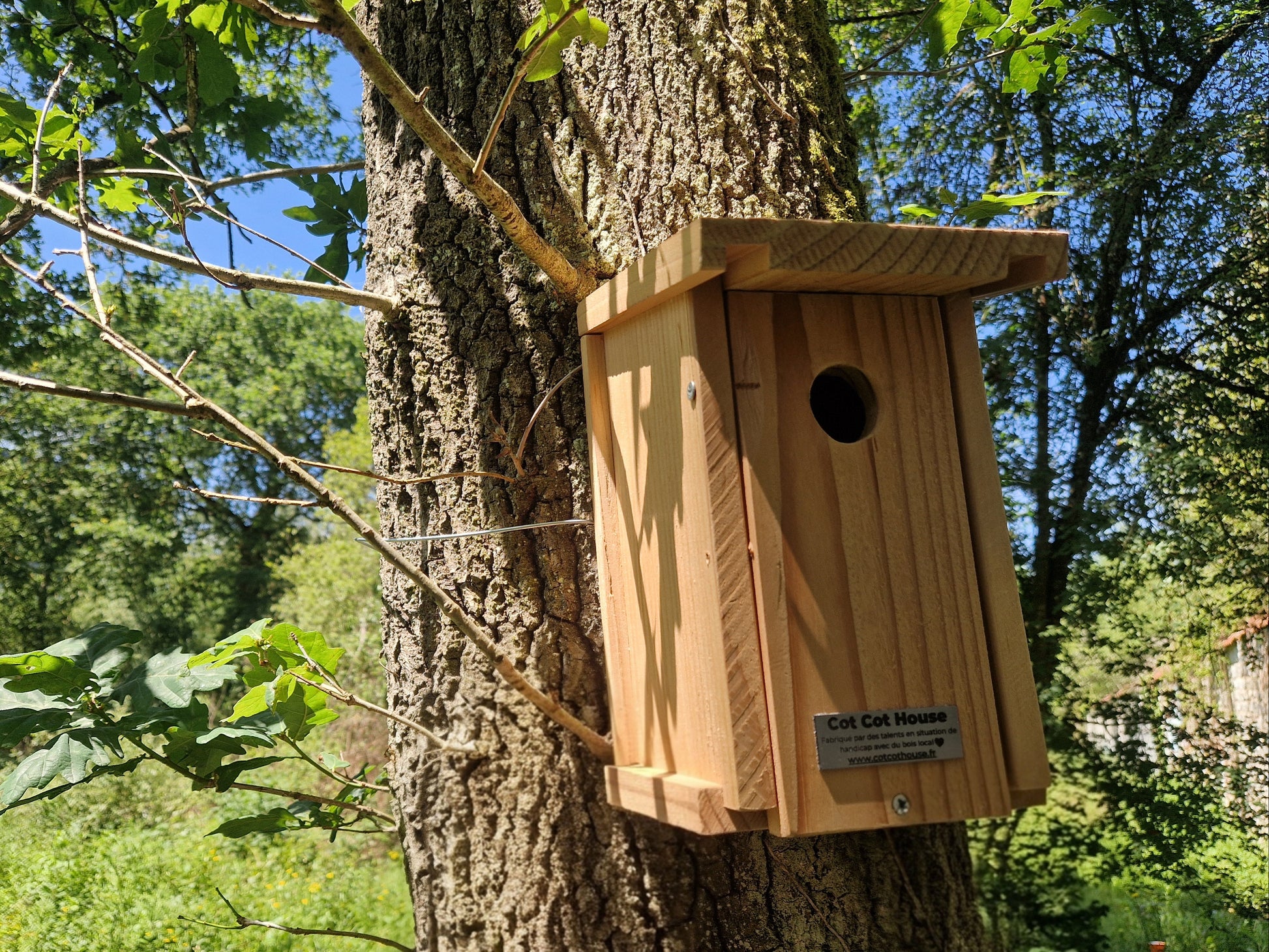 Nichoir à oiseaux en kit pour Mésanges