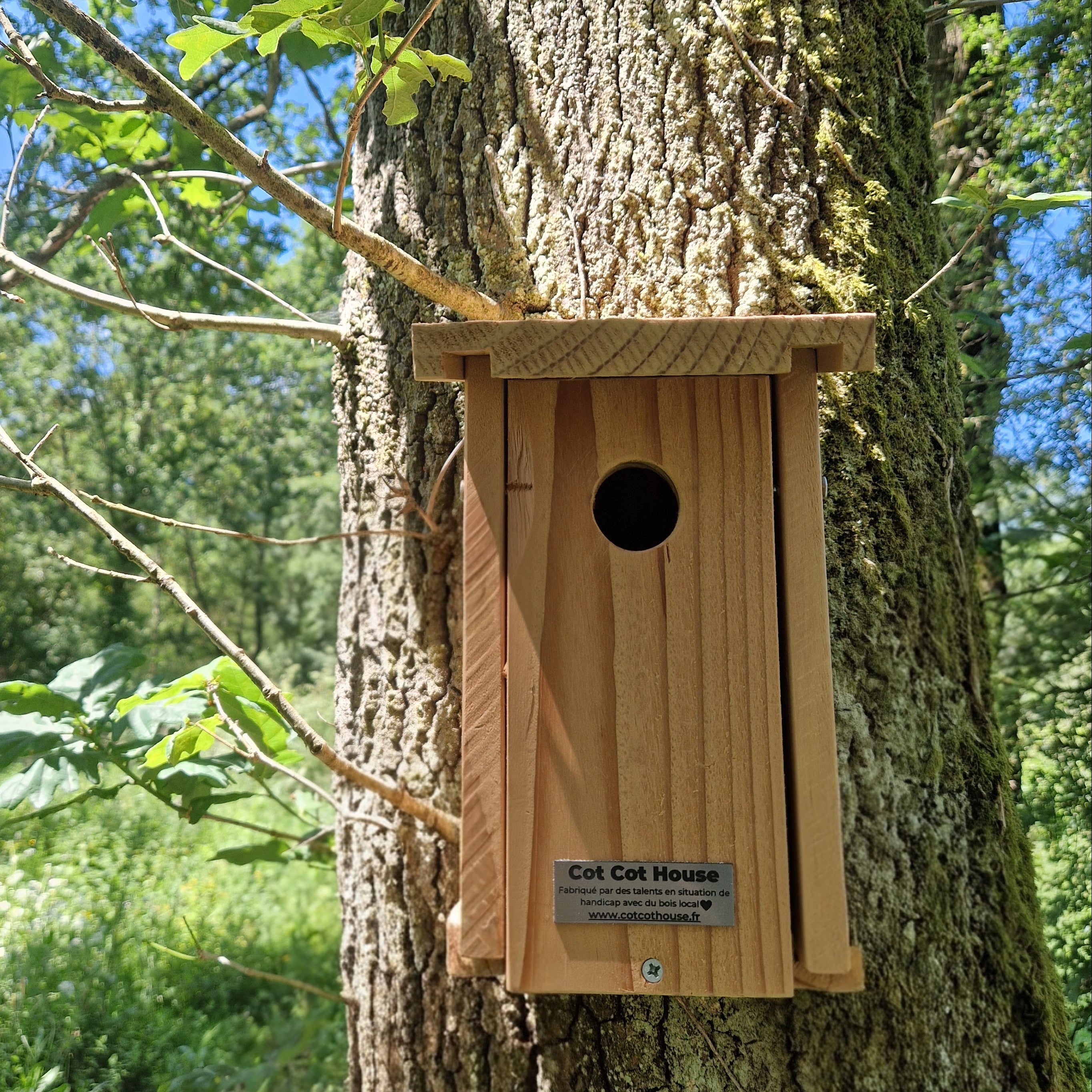 Nichoir à oiseaux en kit pour Mésanges