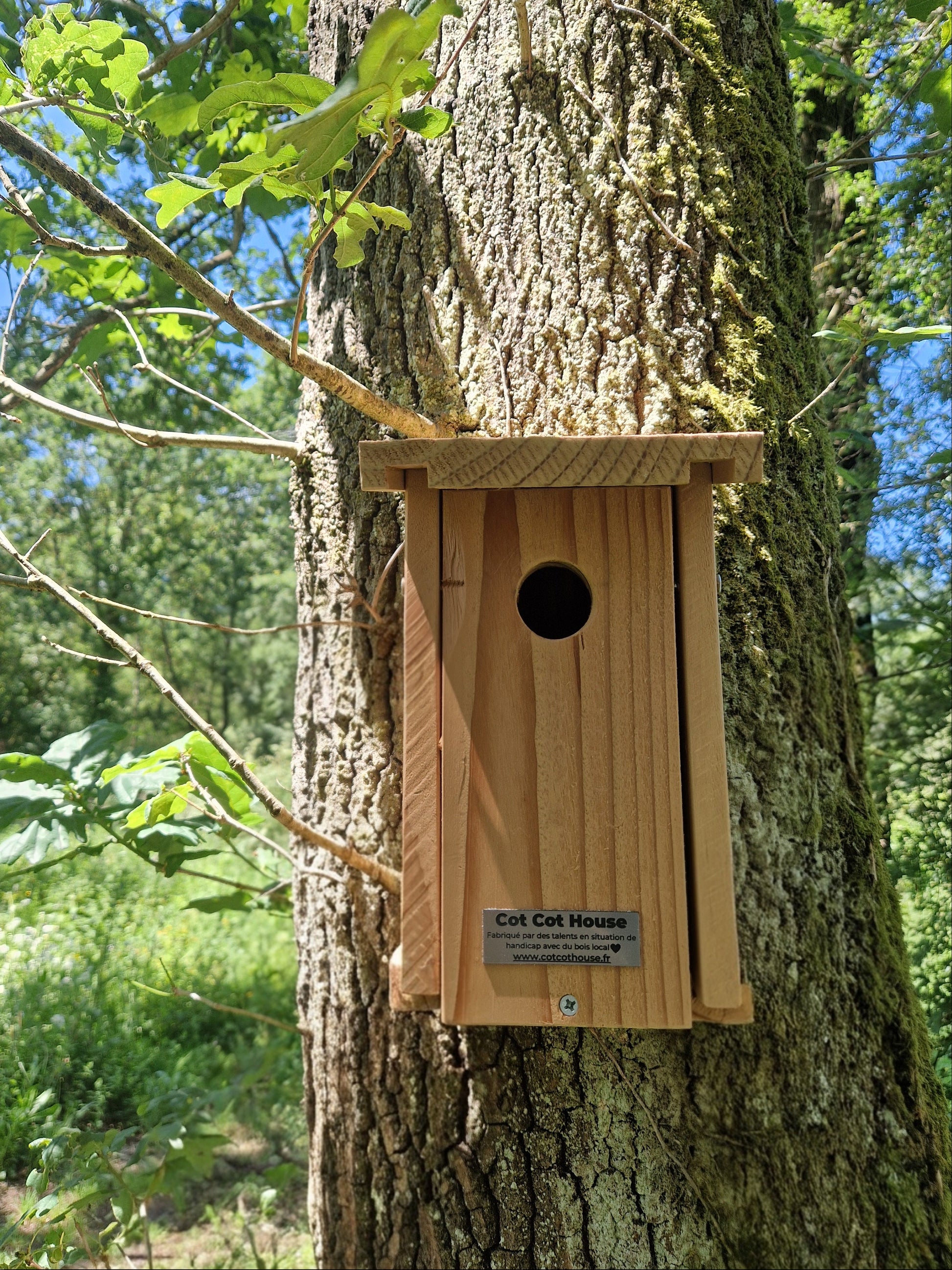 Nichoir à oiseaux en kit pour Mésanges