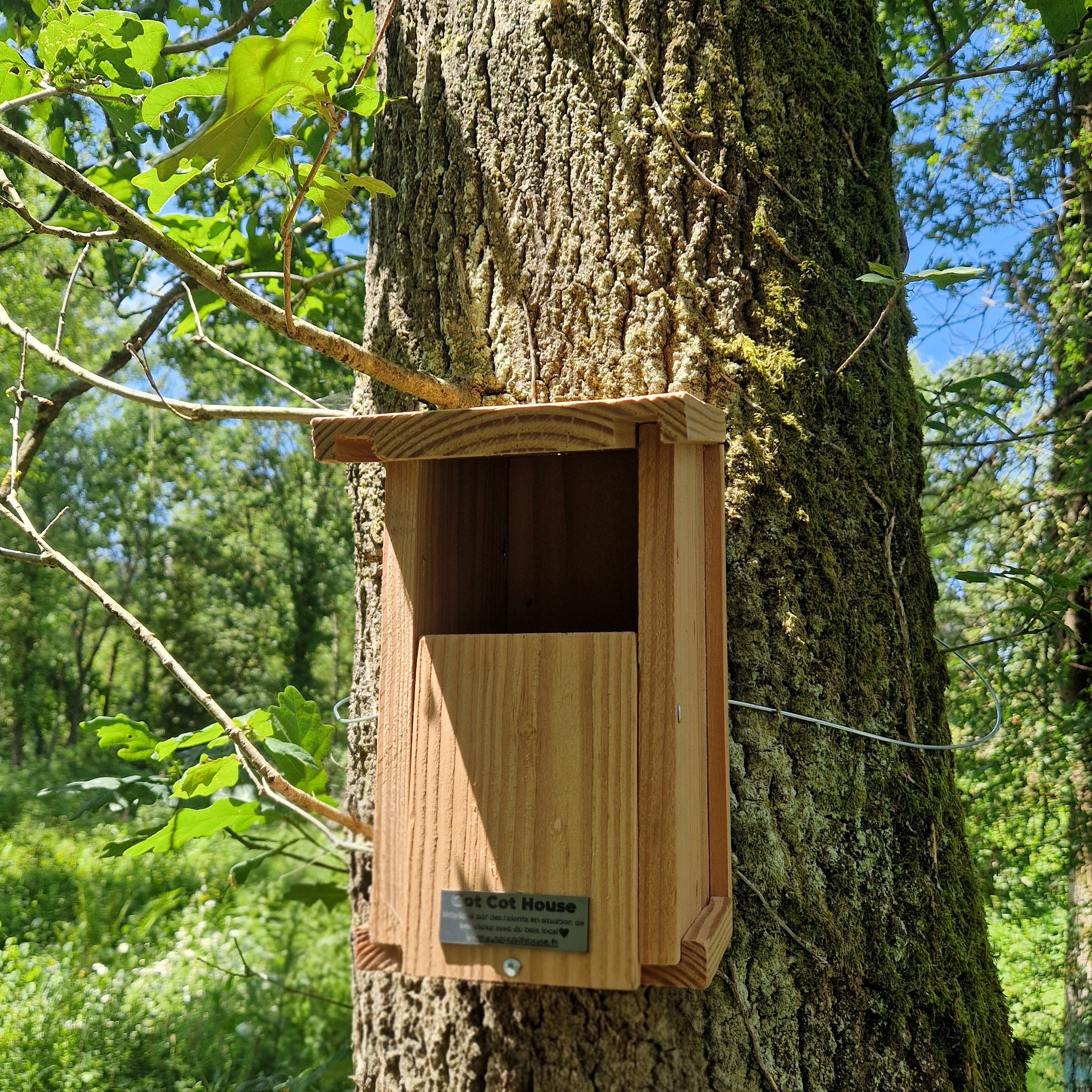 Nichoir à oiseaux en kit pour Rouge-Gorge