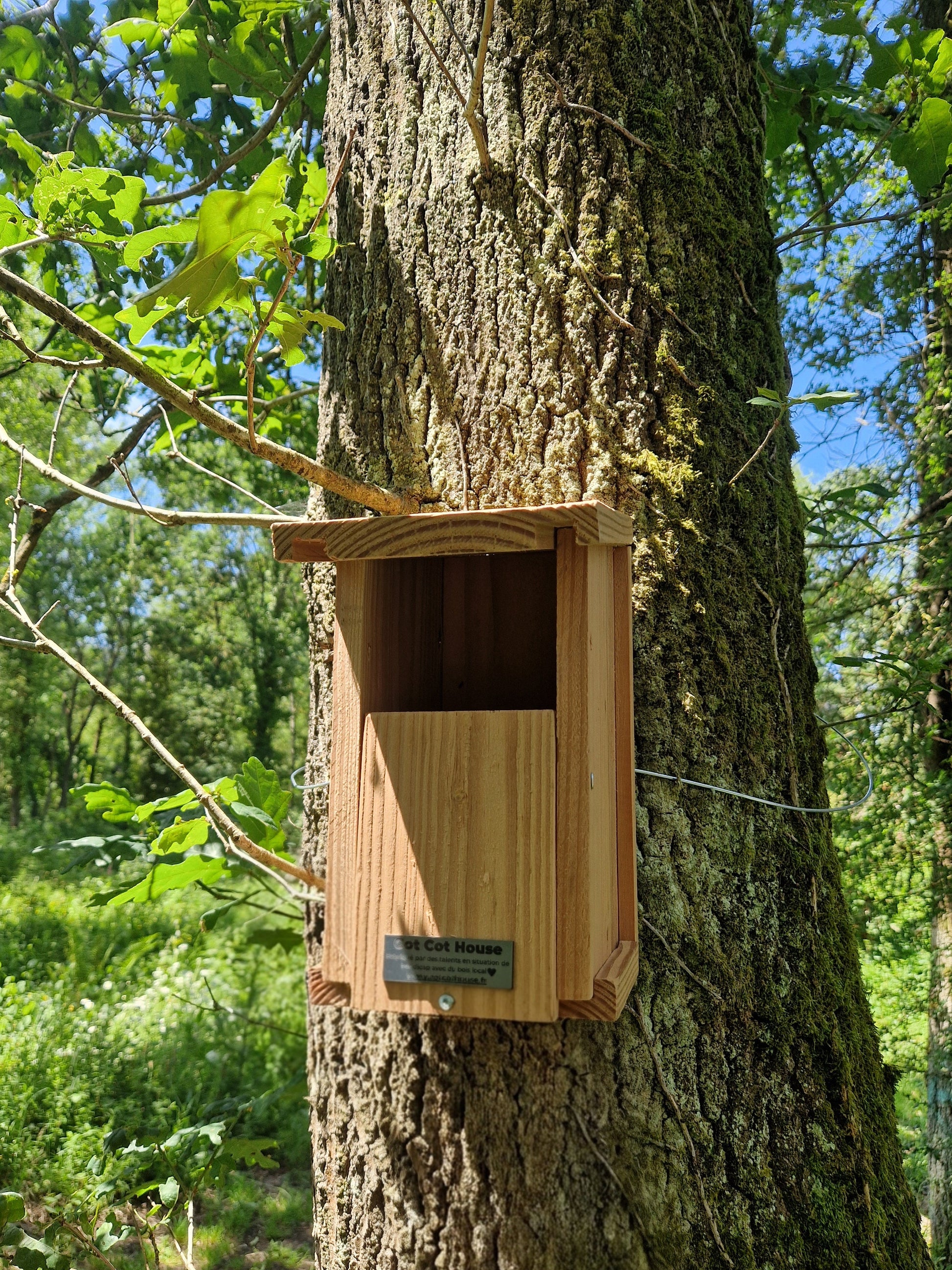Nichoir à oiseaux en kit pour Rouge-Gorge