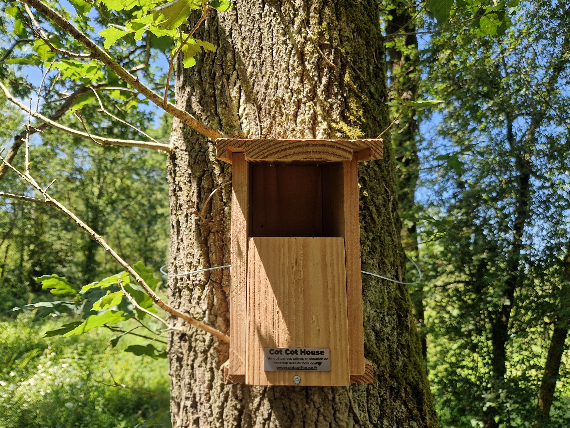 Nichoir à oiseaux en kit pour Rouge-Gorge