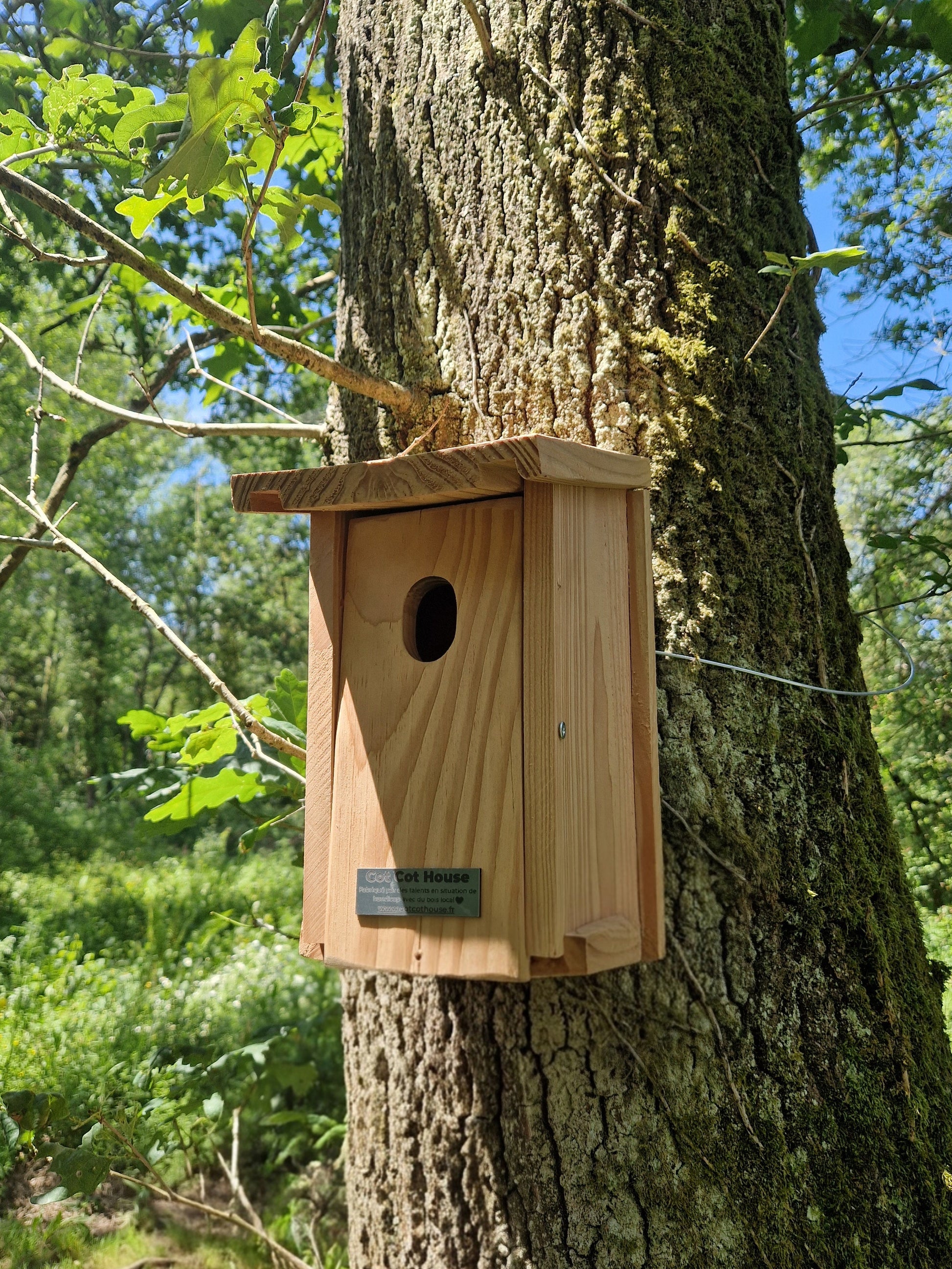 Nichoir à oiseaux en kit pour Rouge-Queue