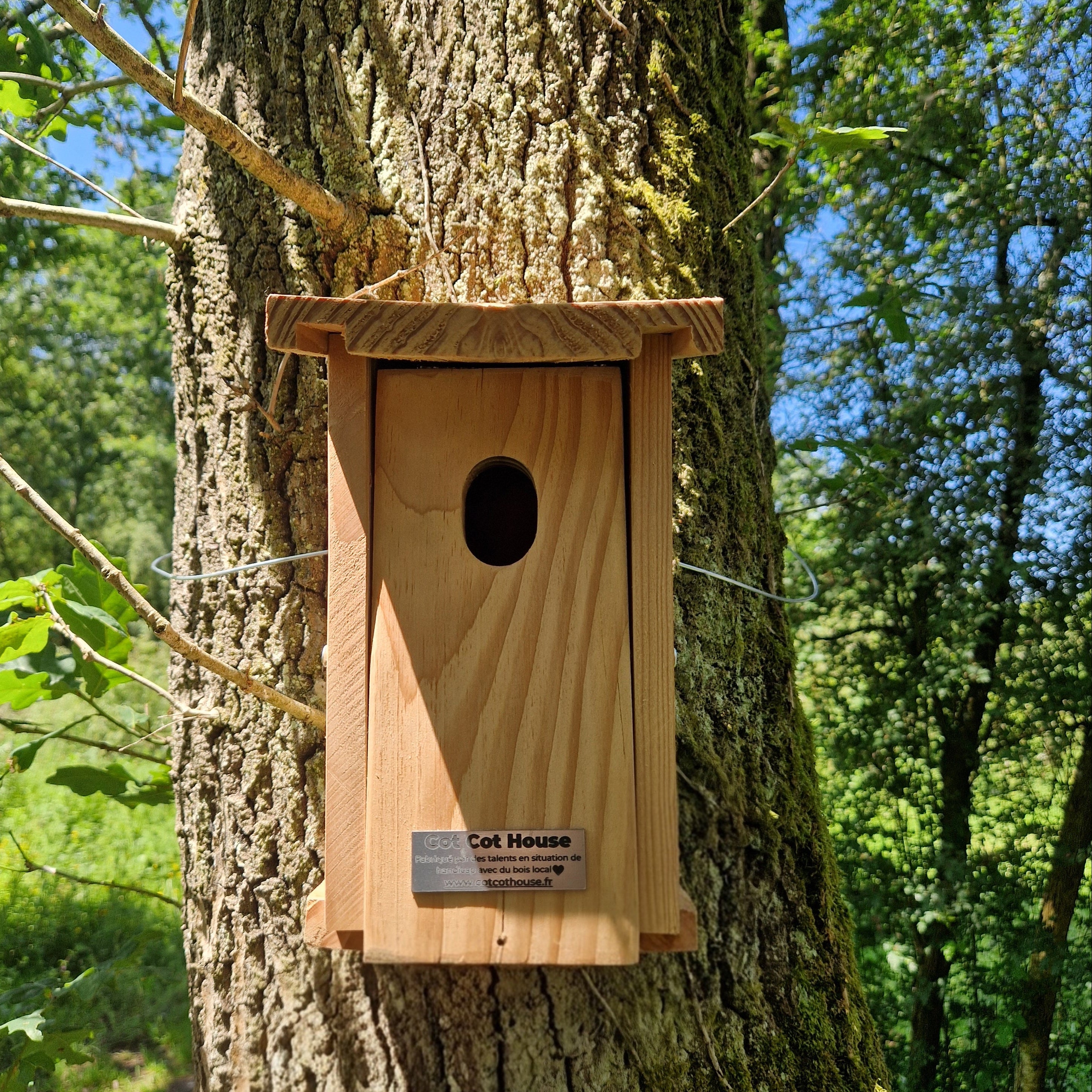 Nichoir à oiseaux en kit pour Rouge-Queue