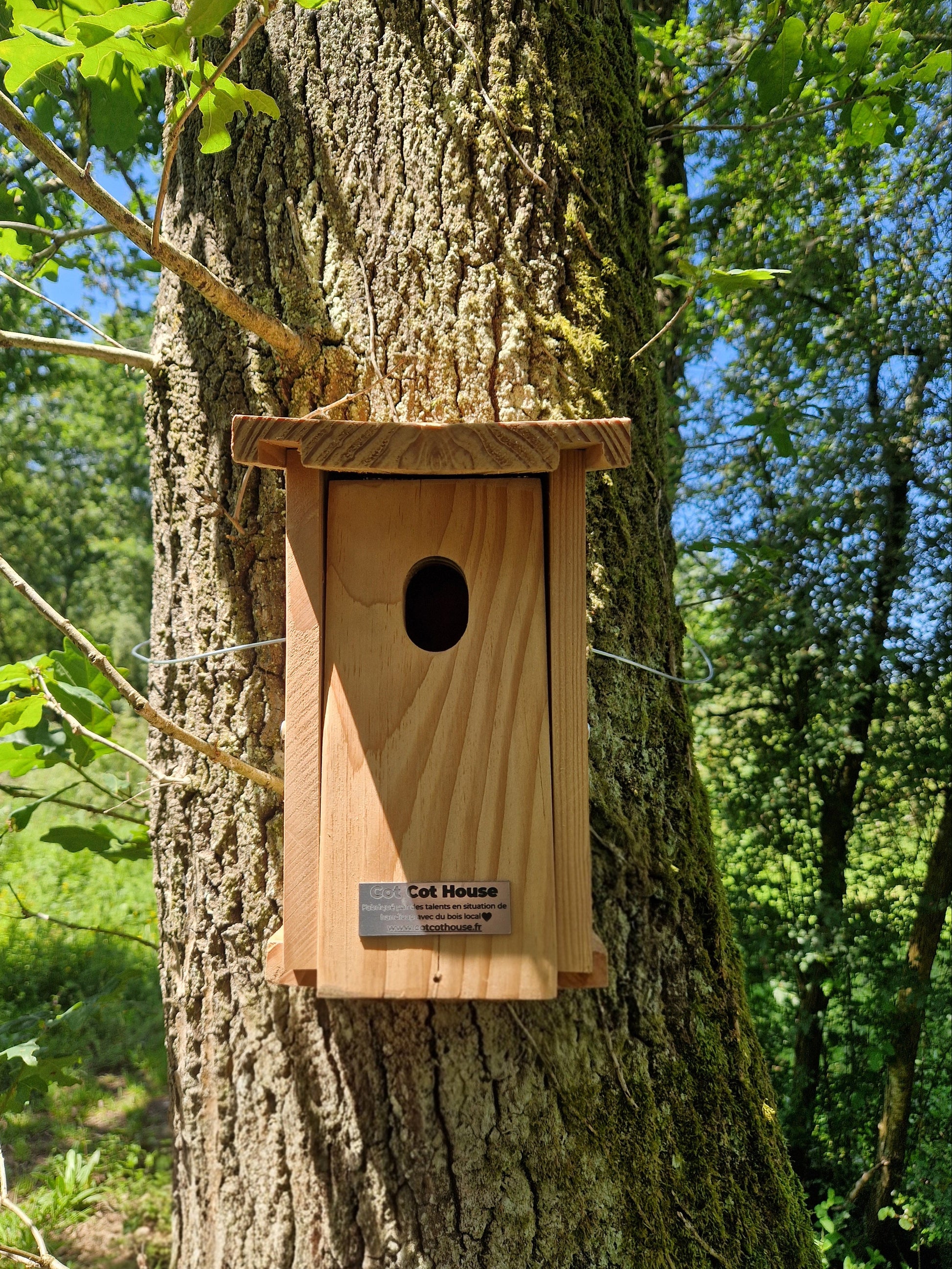 Nichoir à oiseaux en kit pour Rouge-Queue