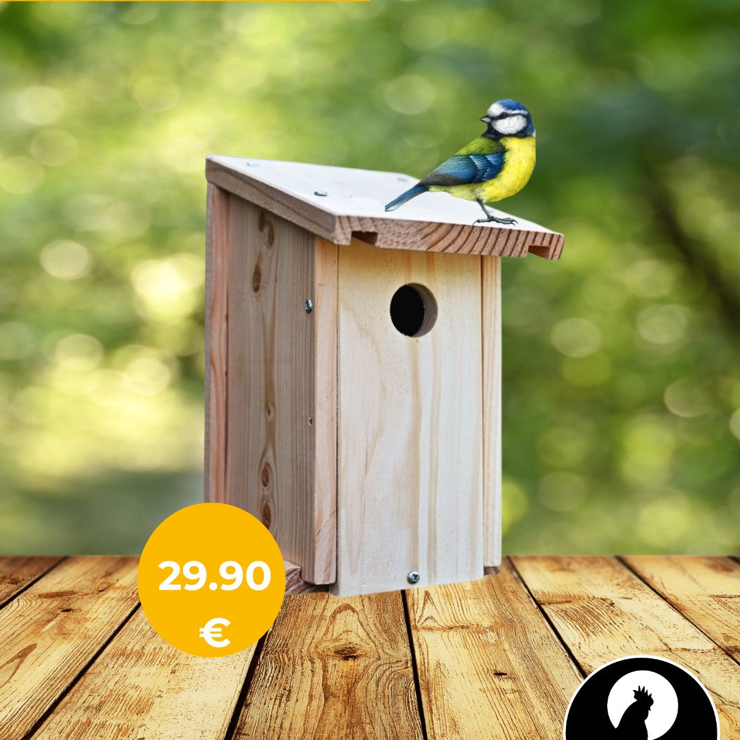 Nichoir oiseaux