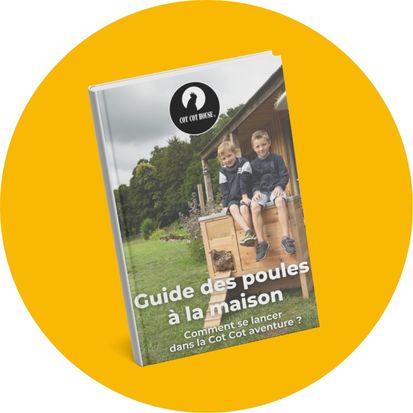 guide des poules à la maison