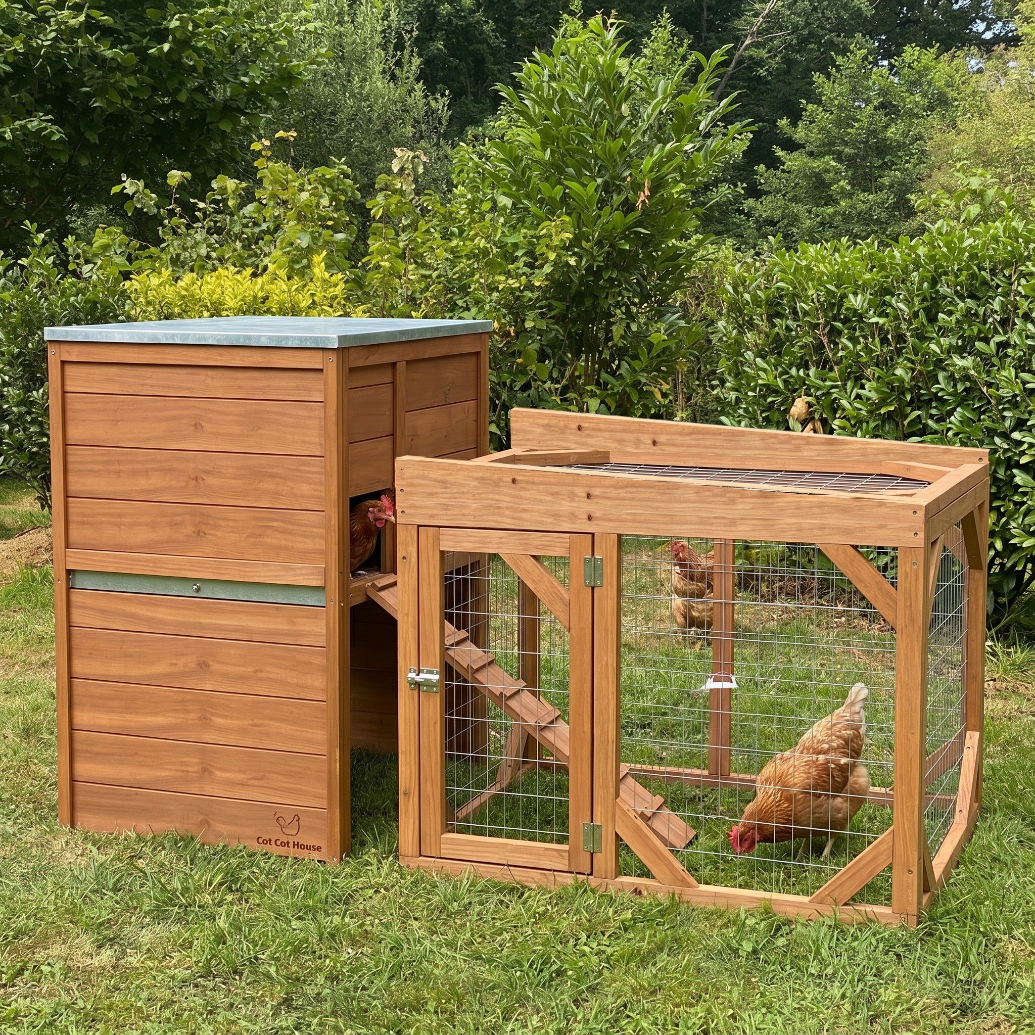 Kit poulailler 4 poules confort et volière