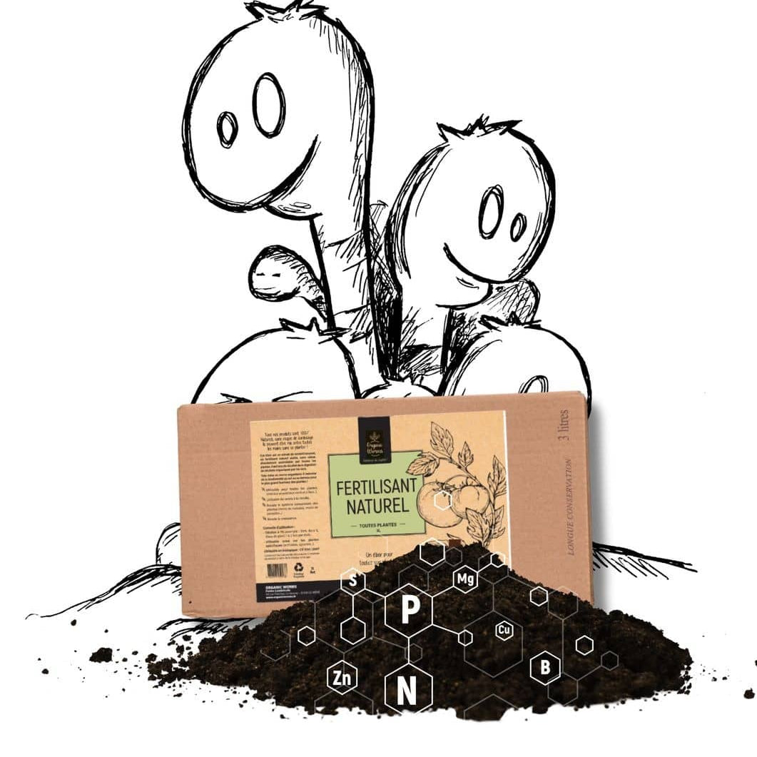 Biostimulant Universel 500mL ou 3L