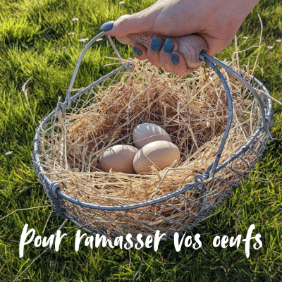 panier de ramassage oeufs