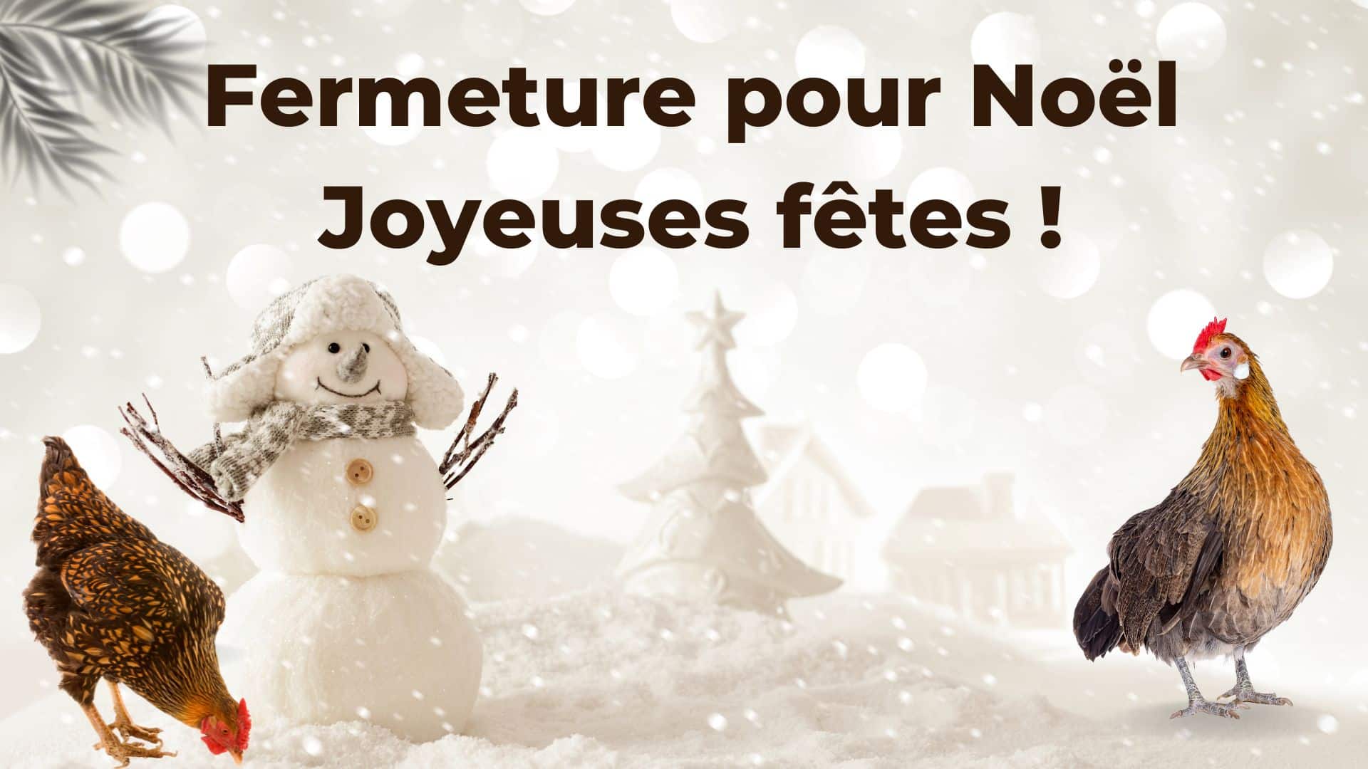 Fermeture pour noel