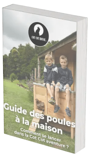 guide vu dans m6