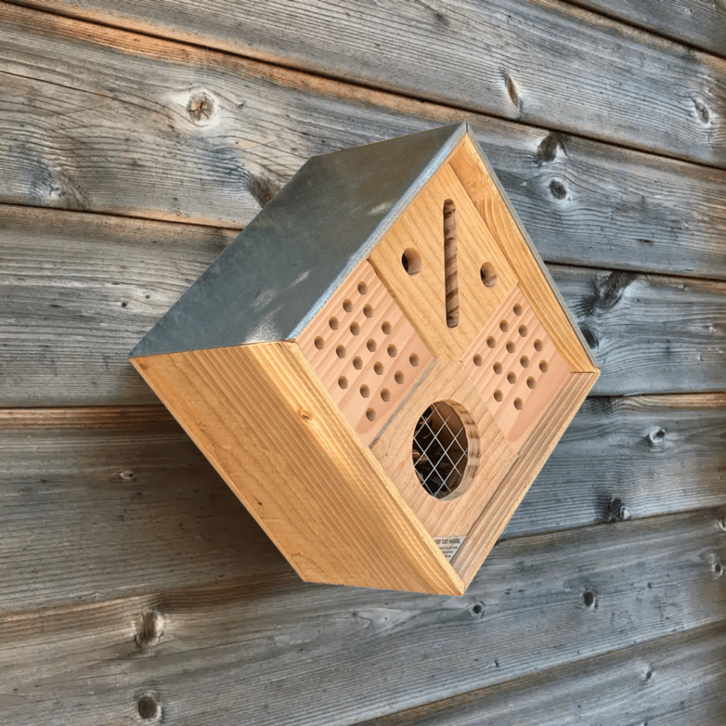 Hôtel à insectes fixé au mur