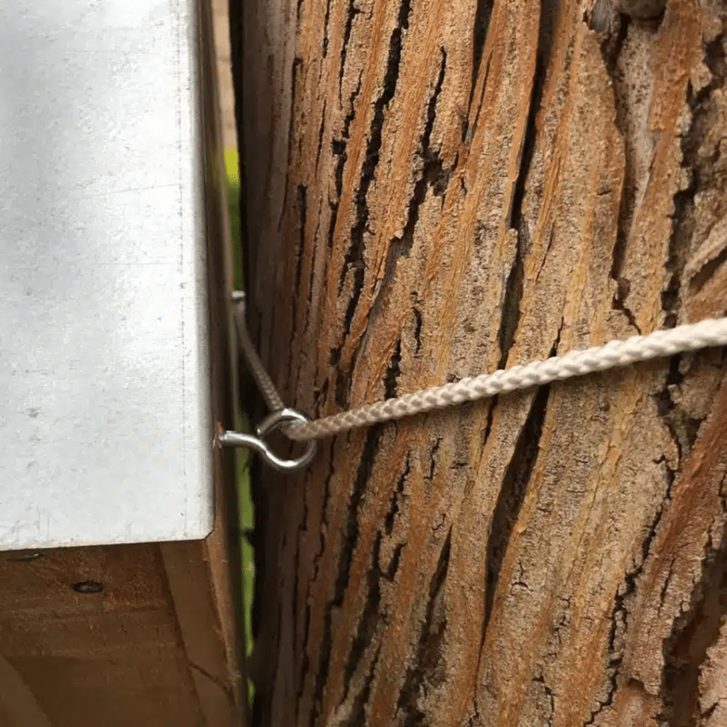 Hôtel à insectes sur un arbre