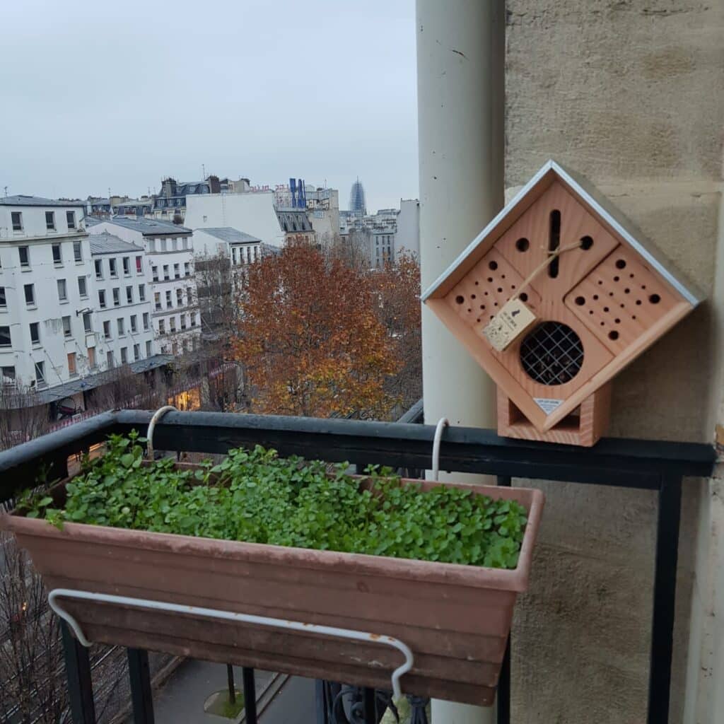 Hôtel à insectes sur un balcon