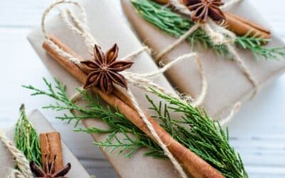 🎄 Noël et cadeaux qui ont du sens : idées pour jardiniers et amoureux de la nature