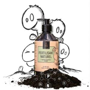 Biostimulant universel