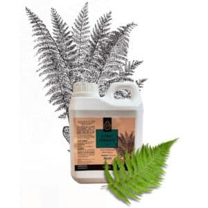 Extrait fermenté Fougère